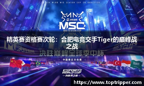 精英赛资格赛次轮：合肥电竞交手Tiger的巅峰战之战