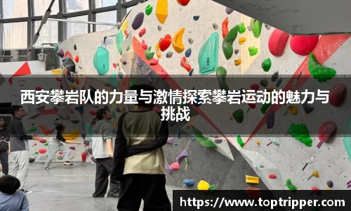 德信体育官网